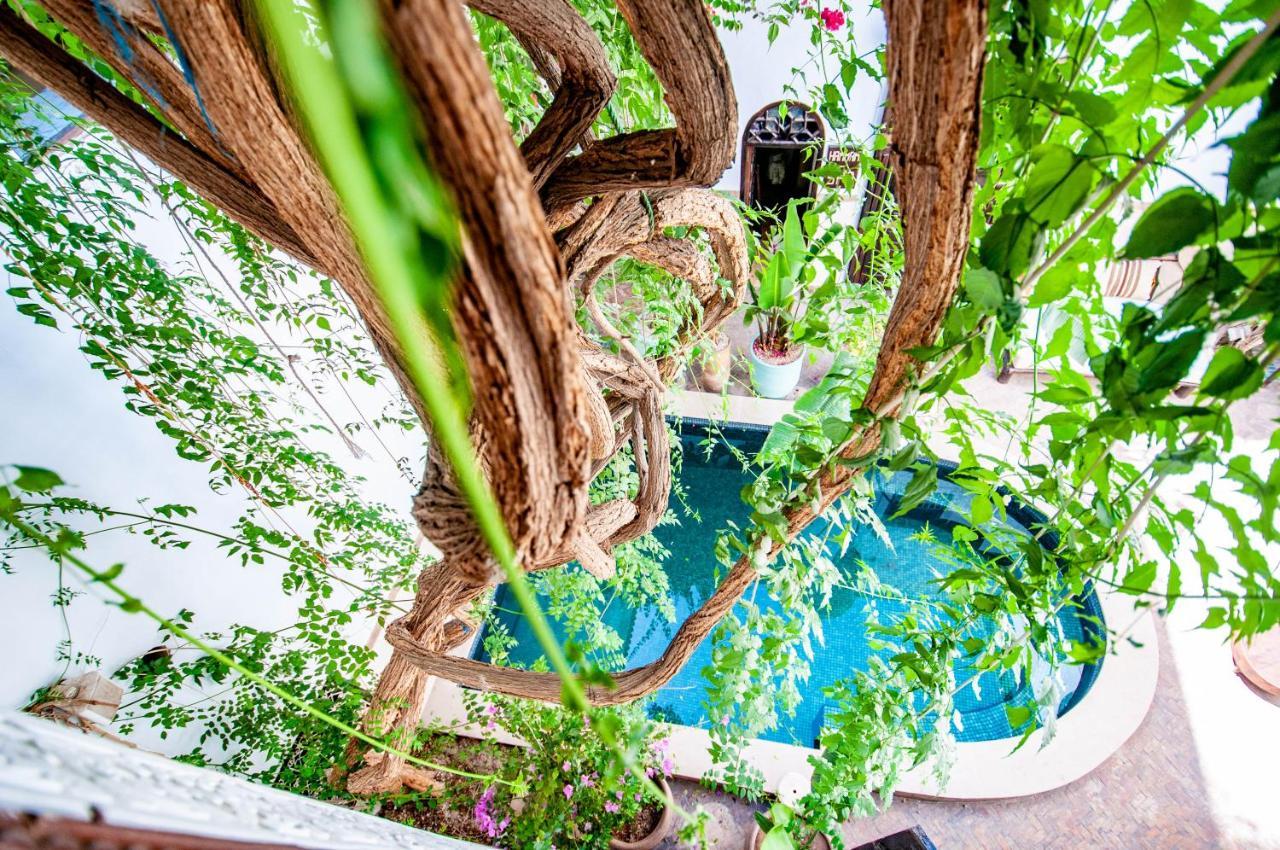 מרקש Hotel & Spa Riad Dar El Aila מראה חיצוני תמונה