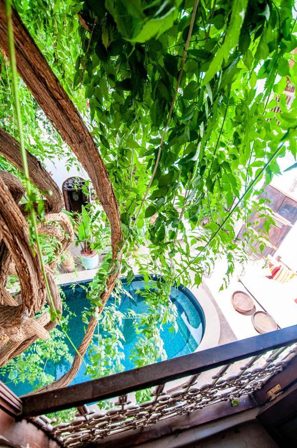 מרקש Hotel & Spa Riad Dar El Aila מראה חיצוני תמונה